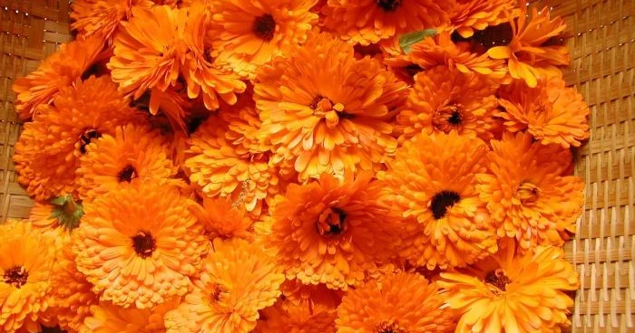 Qan təzyiqini normaya salan Sadə RESEPT