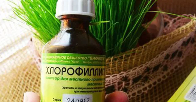 1000 dərdə dərman Apteklərdə 1 2 manata satılan XLOROFİLLİPT