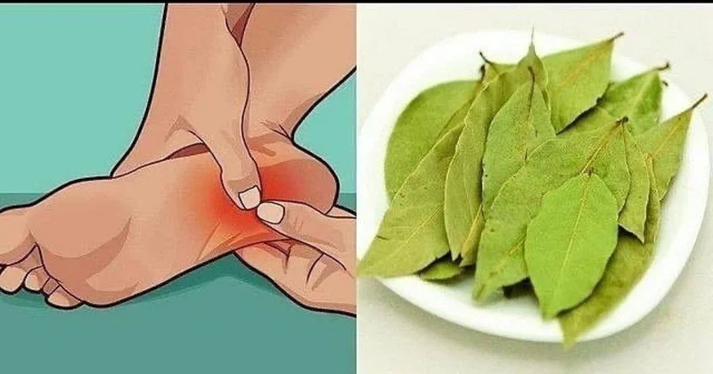 Ayaqları ağrıyan yaşlılar üçün ƏLA RESEPT