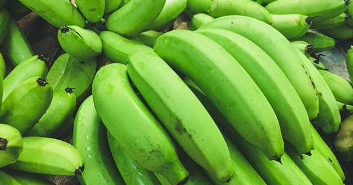 Həzmə faydalı, probiotik təsirli Yaşıl banan