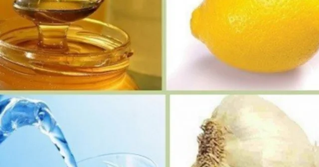 Damarları təmizləyib, təzyiqi normallaşdıran və yaddaşı yaxşılaşdıran GÜCLÜ VASİTƏ