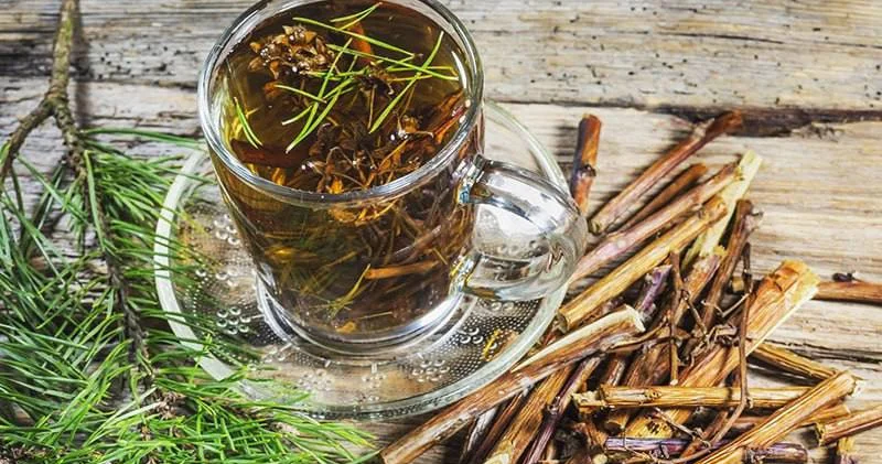 Vitamin mənbəyi, sidikqovucu, bəlğəmgətirici Bitki çayı