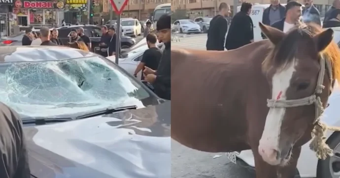Bakıda minik avtomobili atla toqquşdu VİDEO