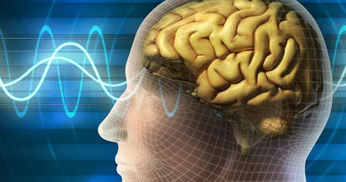 Epilepsiya zamanı xalq təbabəti vasitələri. RESEPTLƏR