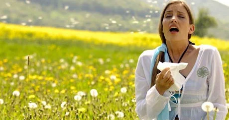Pollinoz bitki tozcuqlarına qarşı allergiya