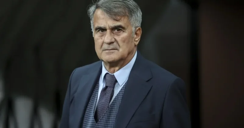 Şenol Güneş yenidən Türkiyə millisinin baş məşqçisi ola bilər