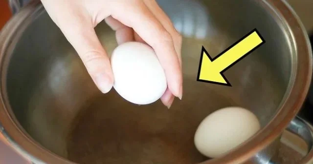 Qaynadılmış yumurta hansı halda zəhərə çevrilir? Həkimlər