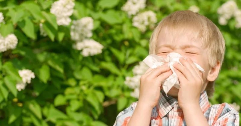 Pollinoz Yaz allergiyasına qarşı təbii çarə