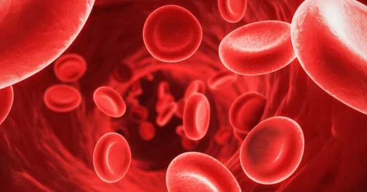 Hemoqlobin. Norma, düşməsinin və yüksəlməsinin səbəbləri