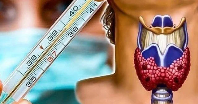 Qalxanvari vəzinin necə işlədiyini adi termometrlə yoxlayın Məşhur həkimin metodu