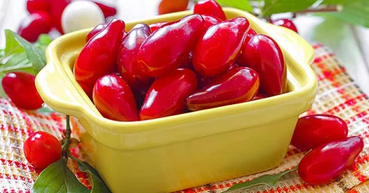 Müalicəvi giləmeyvə ZOĞAL. 7 FAYDASI