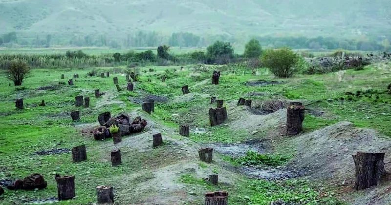 COP17 ərəfəsində İrəvanda Bakını suçlamaq cəhdi