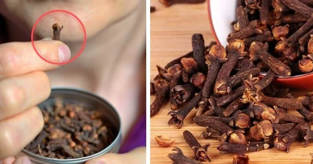Saqqızın əvəzinə mixək çeynəyin! 10 faydası