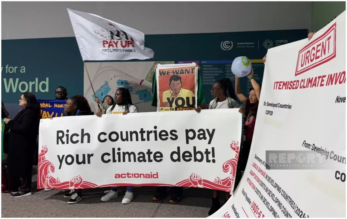 Пора платить: акцияпризыв к развитым странам на COP29 фото