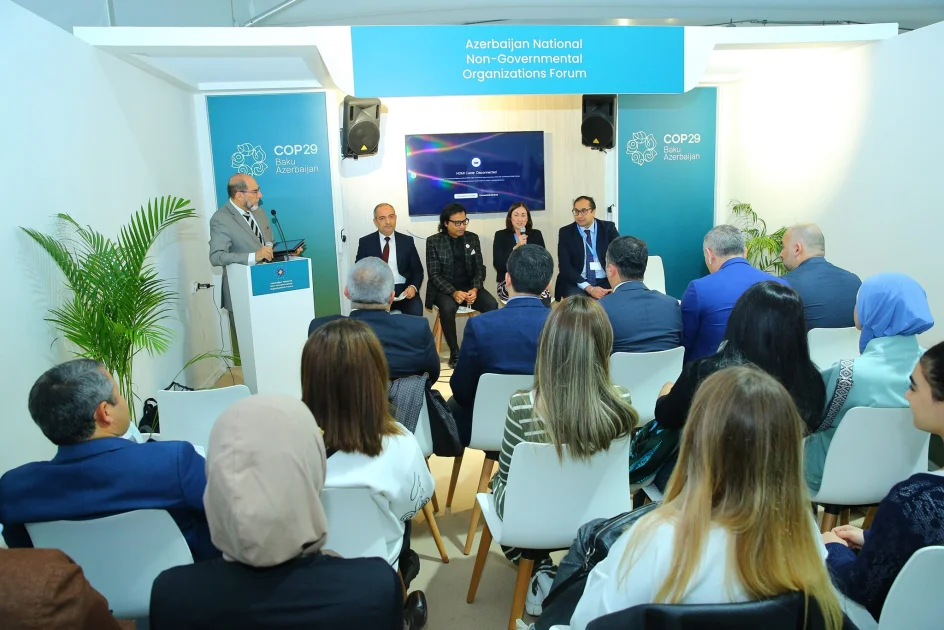 İqtisadi Resursların Öyrənilməsi Mərkəzi COP29 çərçivəsində maliyyə mövzusunda tədbir keçirib FOTO