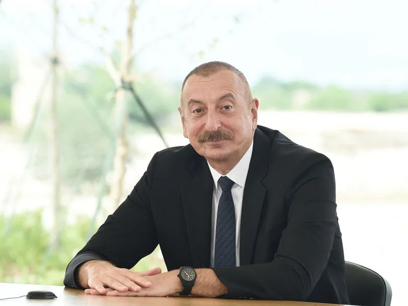 İlham Əliyev Monteneqronun Prezidenti ilə görüşüb