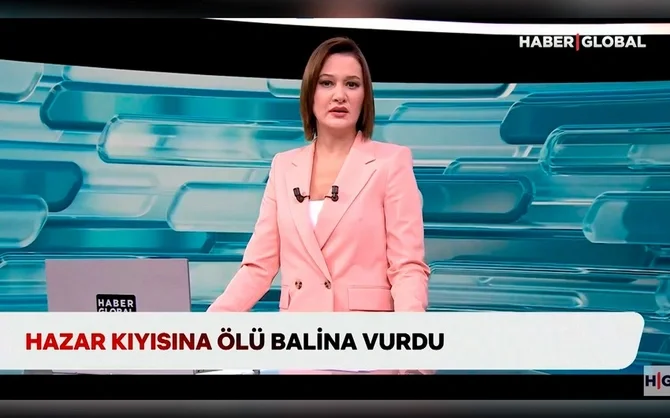 Haber Global COP29da: Türkiyə iqlim gündəmini müəyyən edir və fəaliyyətə çağırır Xəbər saytı Son xəbərlər və Hadisələr