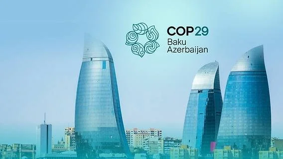 COP29 məkanında su canlıları ilə bağlı sərgi açıldı FOTOLAR