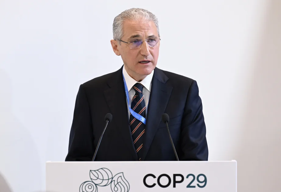 COP29: İqlim fəaliyyəti sahəsində monitorinq mexanizmlərinin gücləndirilməsinə ehtiyac var AZƏRTAC