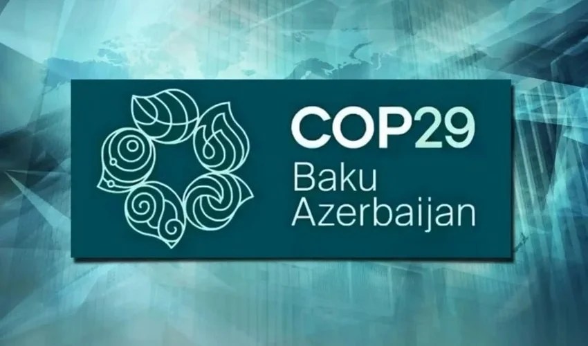 COP29 məkanında Niderland və Fransa müstəmləkəçiliyinə qarşı aksiya keçirildi