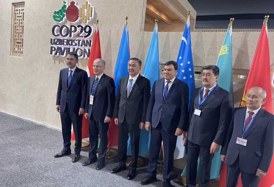 COP29 çərçivəsində TDT ölkələri ekologiya nazirlərinin görüşü olub AZƏRTAC