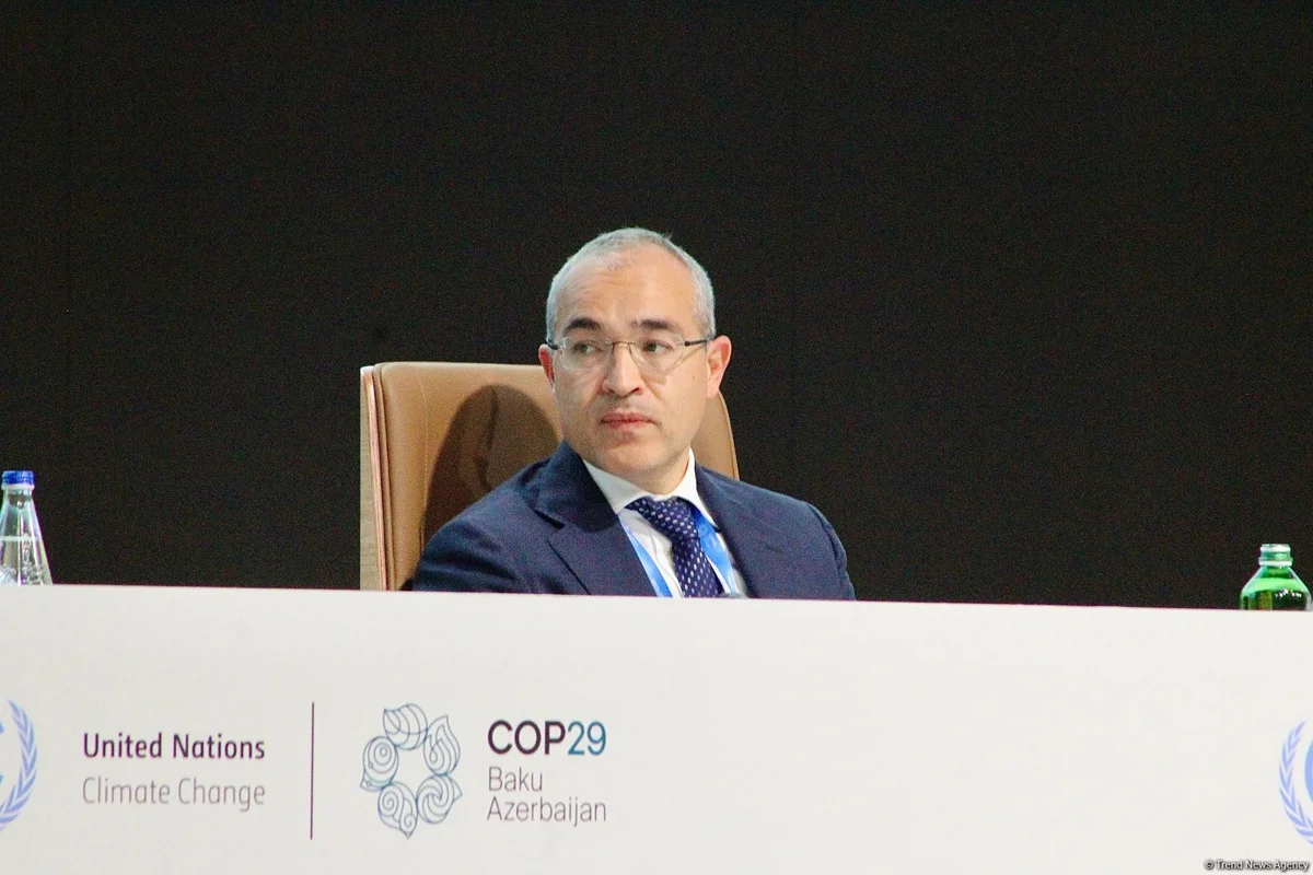 Микаил Джаббаров призвал страны на COP29 к ускорению усилий по углеродной нейтральности