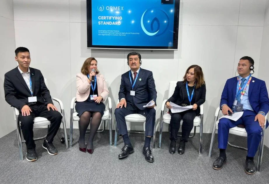 COP29 çərçivəsində karbon emissiyalarının ölçülməsi üçün innovativ üsullar müzakirə olunub AZƏRTAC