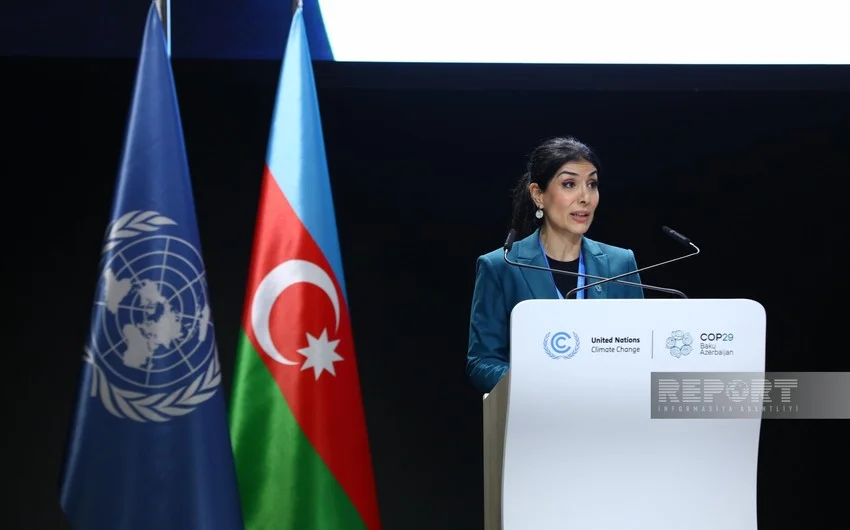 Nigar Arpadarai: COP29da özəl sektor fəal şəkildə iştirak edir