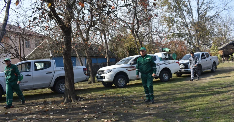Bölgələrdə qəhvəyi mərmər bağacığına qarşı “Tap, məhv et ” kampaniyası davam edir
