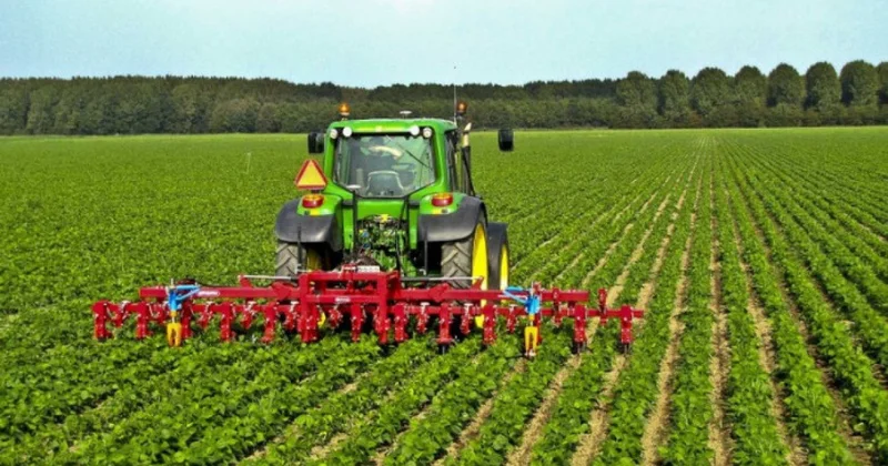 Azərbaycanda aqrar sektor 1 % böyüyüb