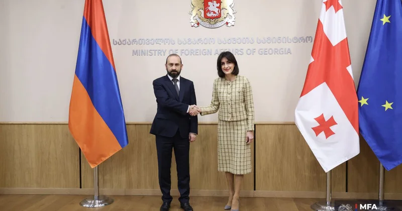 Gürcüstan və Ermənistan XİN rəhbərləri Tbilisidə görüşüb