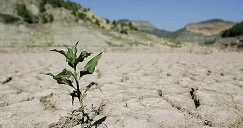 Qərbi Azərbaycan əyalətində quraqlıq artıb