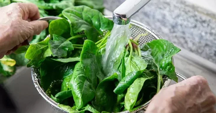 Təəccüblü sirr: İspanaqdakı qum və palçığı yox edir