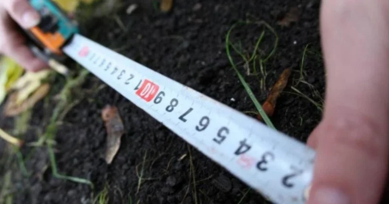 Növbəti torpaq hərracları elan edilib