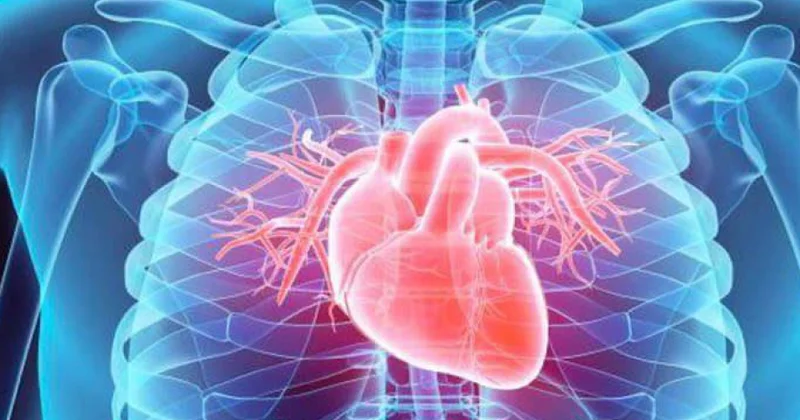 İsveçdə ürək damar xəstəliklərindən ölüm nisbəti kəskin şəkildə azalıb