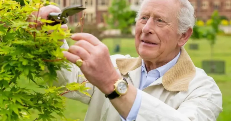 Bu gün Kral III Çarlzın 77 ci ad günüdür