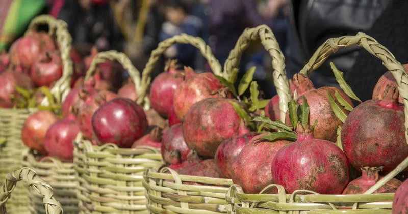 Фруктовый бум в Азербайджане: экспорт растет, хозяйства расширяются