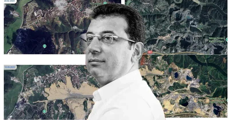 İmamoğlu meşəlik ərazini “bazara“ çevirib