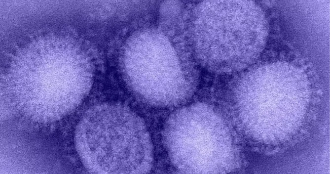 Bir çox ölkədə XƏBƏRDARLIQ! Yeni H3N2 ştammı sürətlə yayılır