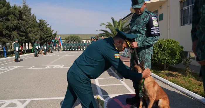 DSX da 7 ci kinoloji yarışları keçirilib I FOTO