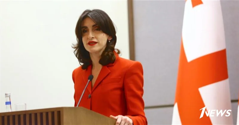 Глава МИД: тупик в отношениях с Грузией результат решений ЕС