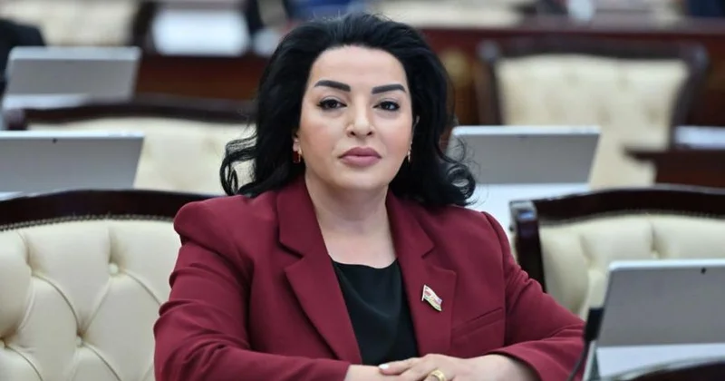 Qarşıda böyük işlər, ciddi məsuliyyətlər var Millət vəkili