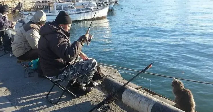 Qara dənizdə yeni təhlükəli növ aşkarlanıb