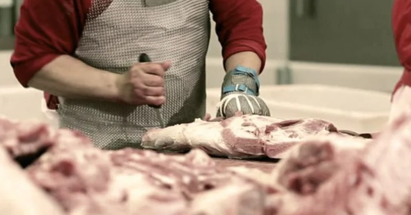 В Баку накрыли мясной цех с 2 тоннами некачественной продукции ВИДЕО