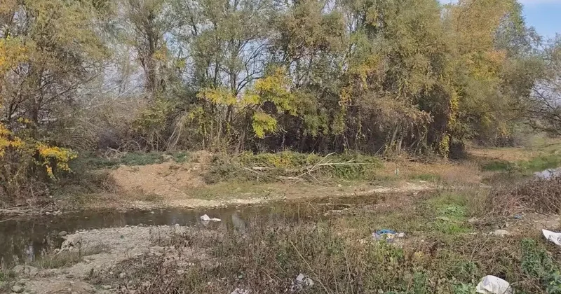 Türkiyə vətəndaşı Gürcüstanda meşədə ölü tapıldı