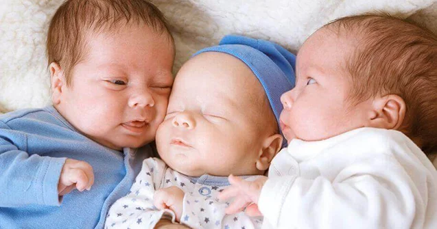 Bu il 78 üçəm doğulub