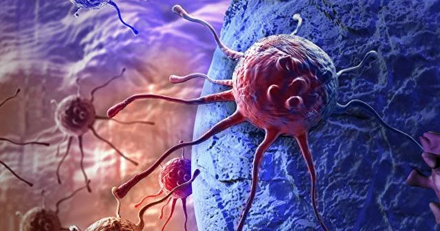 Bu qidalar xərçəng yaradır alimlərdən XƏBƏRDARLIQ