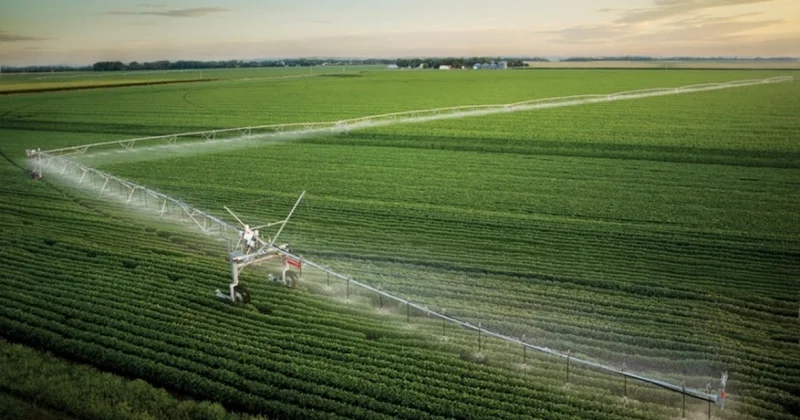ADSEA: Torpaq sahələrində kütləvi su çatışmazlığı yoxdur