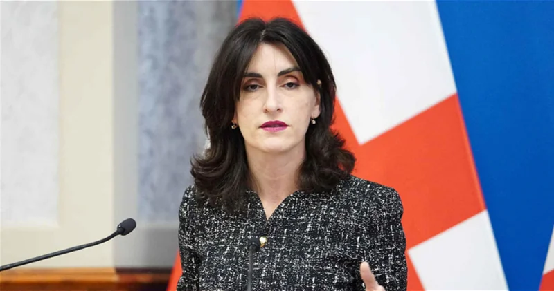 Глава МИД Грузии: Вашингтонские договоренности шаг к установлению устойчивого мира в Южном Кавказе