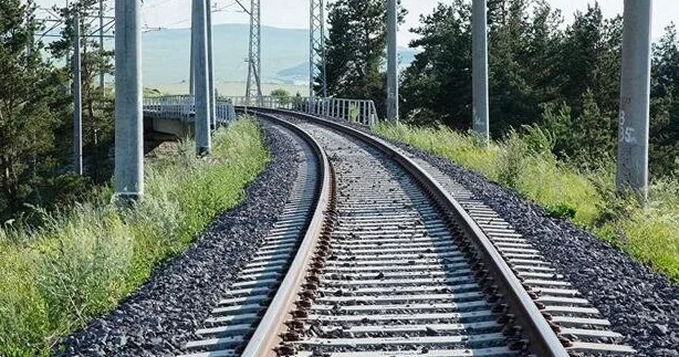 ADY heyvanların yola çıxması ilə bağlı toqquşma halları açıqladı